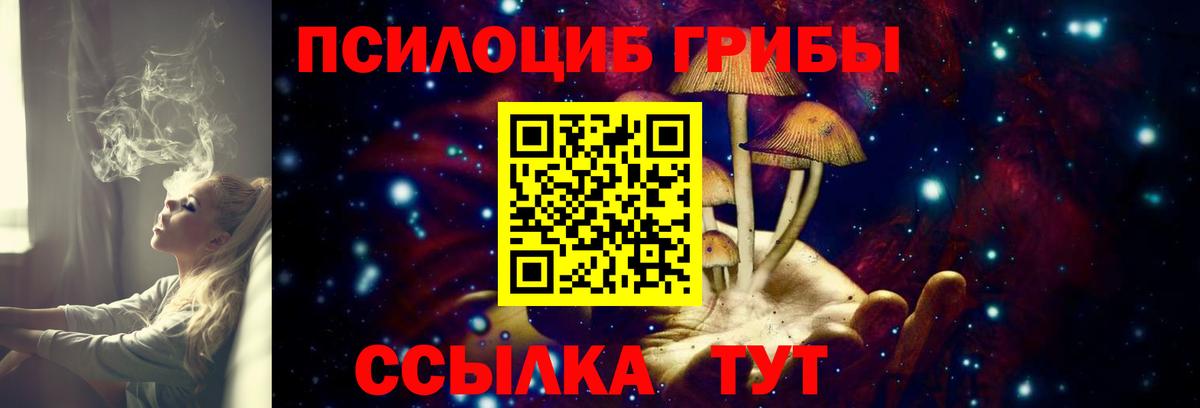 Псилоцибиновые грибы Psilocybine cubensis  Артём 